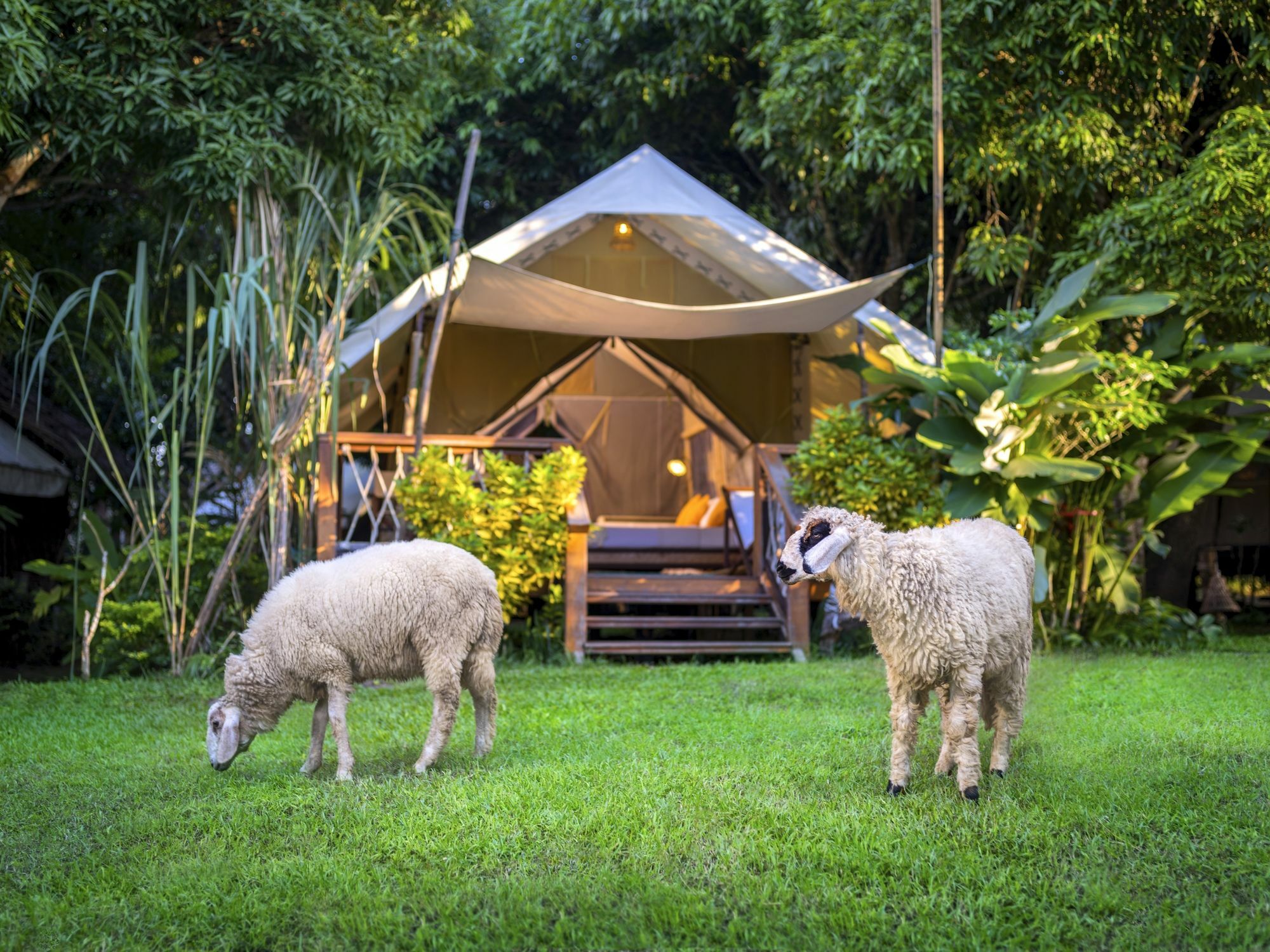 Hintok River Camp Sai Yok Exterior photo